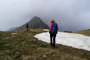Monte Valgussera, Pizzo Vescovo, Monte Brate, tre cime ad anello da Foppolo il 28 maggio 2016 - FOTOGALLERY